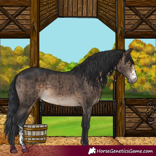 Horse Color:Brown Dun Sabino Brindle 