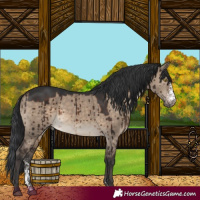 Horse Color:Brown Dun Sabino Brindle 