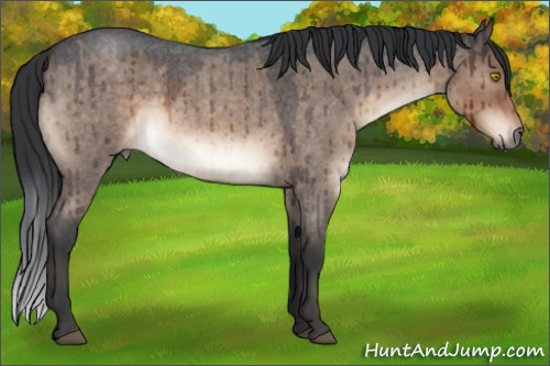 Horse Color:Brown Roan Dun Sabino Brindle 