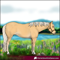 Horse Color:Palomino 