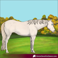 Horse Color:Perlino 
