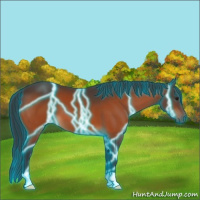 Horse Color:Thunderstruck Brown 