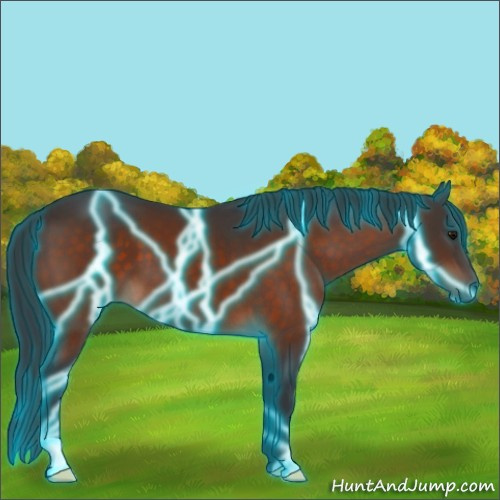 Horse Color:Thunderstruck Bay 