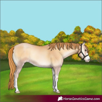Horse Color:Red Onyx Pearl 