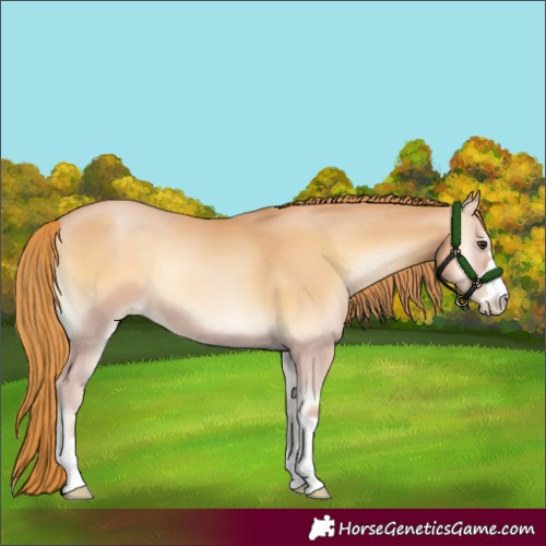 Horse Color:Red Onyx Pearl 
