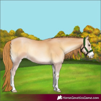 Horse Color:Red Onyx Pearl 