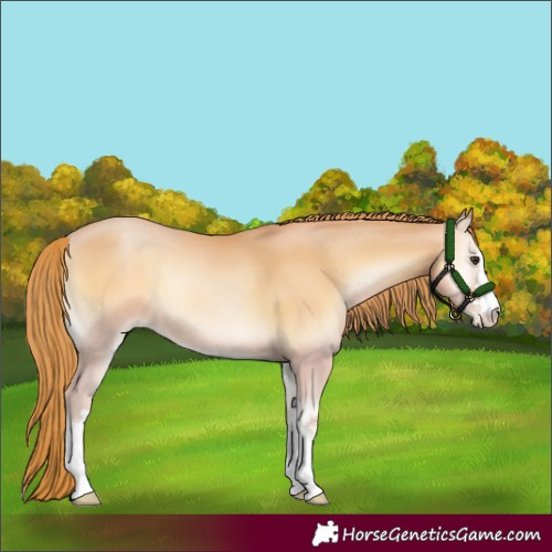 Horse Color:Red Onyx Pearl 