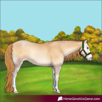 Horse Color:Red Onyx Pearl