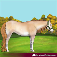 Horse Color:Red Onyx Pearl 