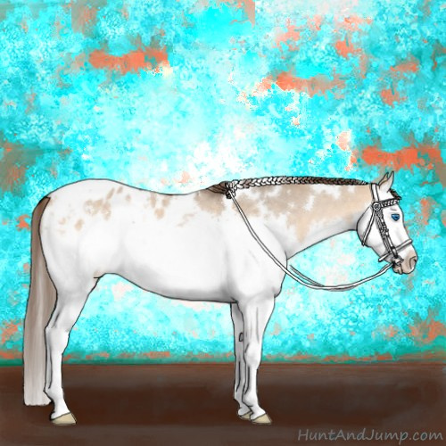 Horse Color:White Spotted Bay Roan Dun Splash Appaloosa