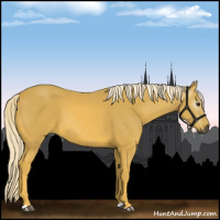 Horse Color:Gray Palomino 