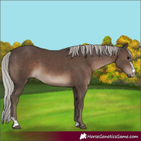 Horse Color:Silver Black Sabino