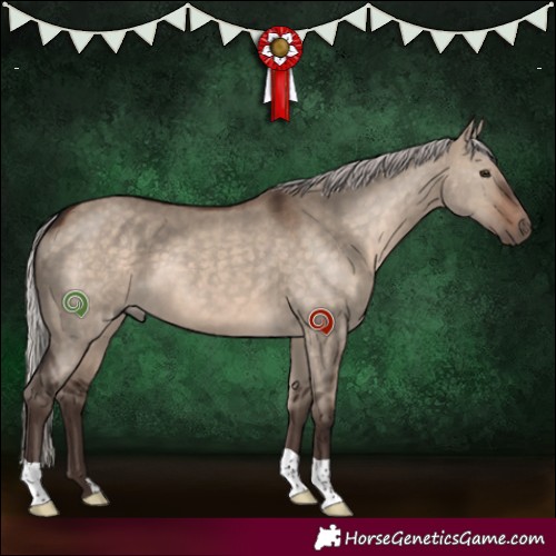 Horse Color:Silver Brown Dun 