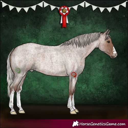 Horse Color:White Spotted Silver Blue Roan 