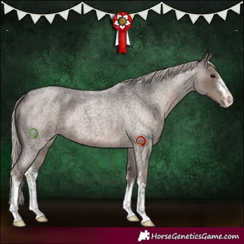 Horse Color:White Spotted Silver Blue Roan 