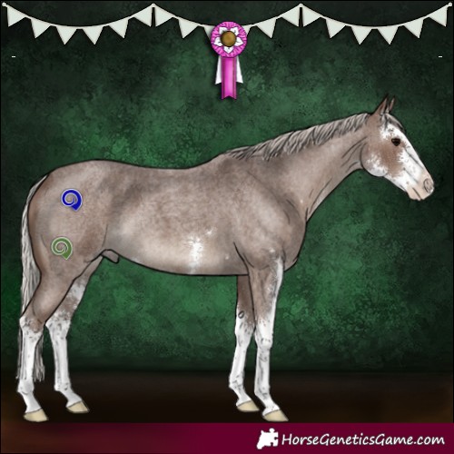 Horse Color:Silver Blue Roan Sabino 