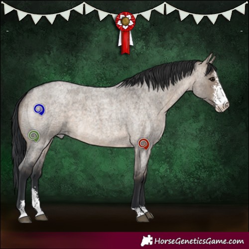 Horse Color:Brown Roan Dun Sabino 