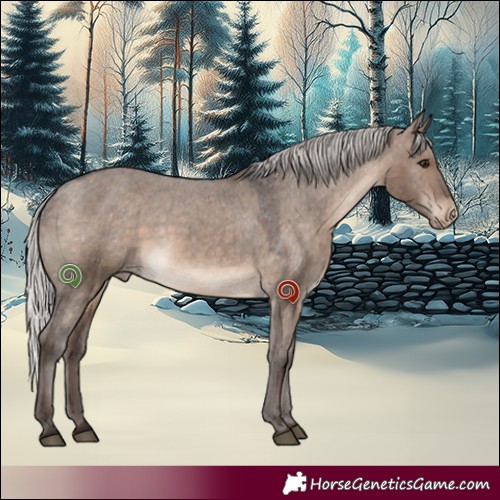 Horse Color:White Spotted Silver Brown Dun Appaloosa 