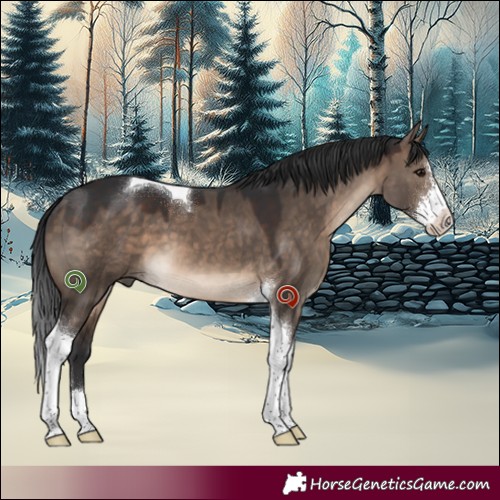 Horse Color:Brown Dun Sabino Tobiano 