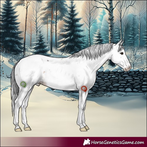Horse Color:Brown Dun Sabino 