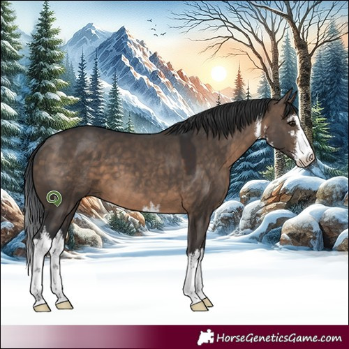 Horse Color:White Spotted Brown Dun