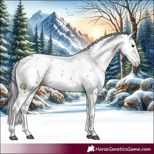 Horse Color:Brown Dun Sabino 