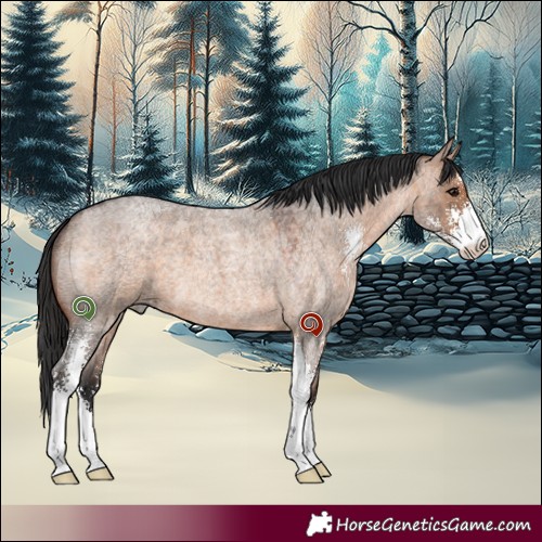 Horse Color:Brown Roan Dun Sabino 