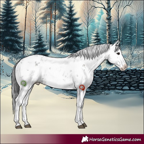 Horse Color:White Spotted Grullo Sabino 