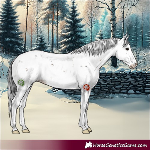 Horse Color:Brown Dun Sabino 