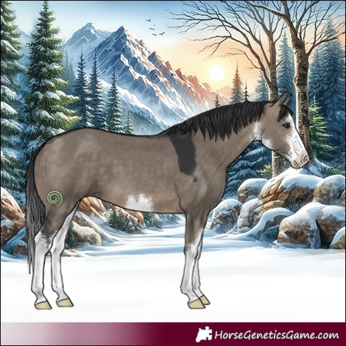 Horse Color:White Spotted Brown Dun 