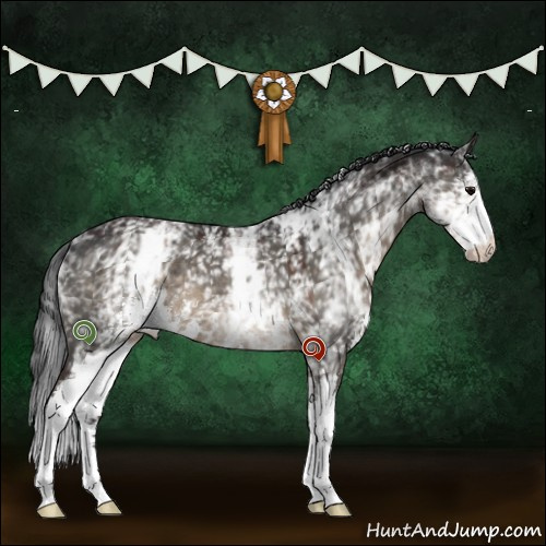 Horse Color:White Spotted Brown Dun Sabino 