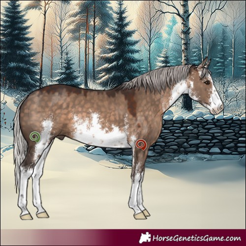 Horse Color:White Spotted Silver Brown Dun 