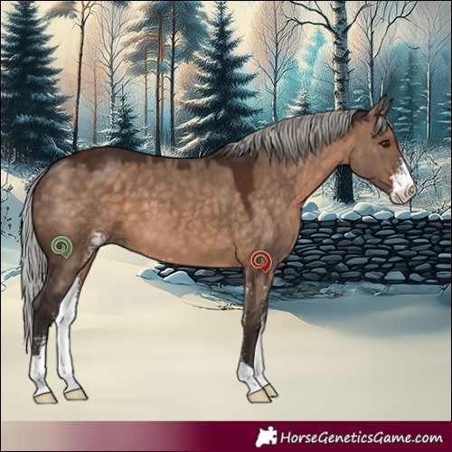 Horse Color:Silver Brown Dun Sabino 