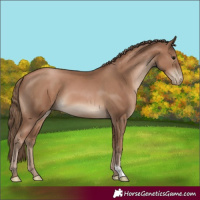 Horse Color:Black Pearl
