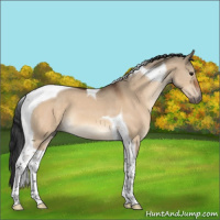 Horse Color:Brown Dun Tobiano