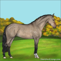 Horse Color:Brown Dun
