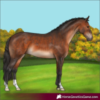 Horse Color:Brown 