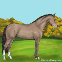 Horse Color:Classic Champagne 