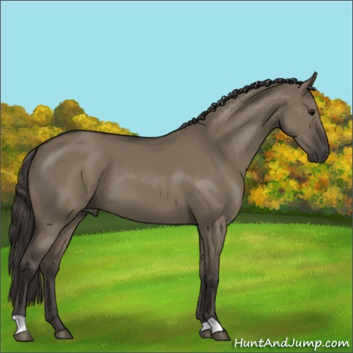 Horse Color:Smoky Grullo 