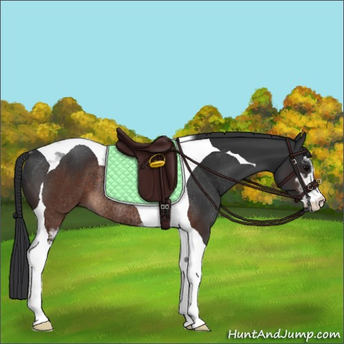 Horse Color:Brown Sabino Tobiano Rabicano 