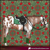 Horse Color:Chestnut Sabino Blanket 