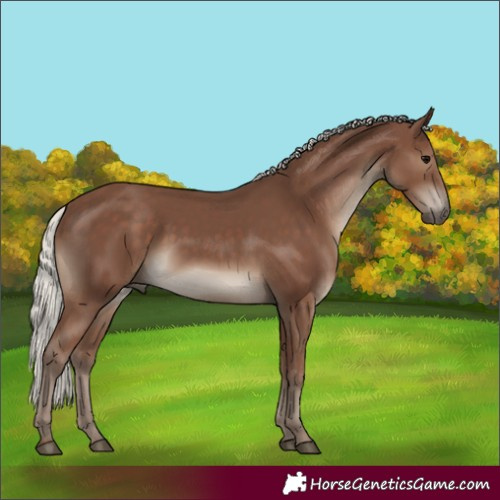 Horse Color:Silver Black 