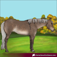 Horse Color:Silver Brown Dun Rabicano 