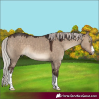 Horse Color:White Spotted Silver Brown Dun 
