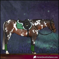 Horse Color:White Spotted Liver Chestnut Rabicano 