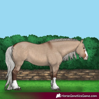 Horse Color:Silver Brown Dun 
