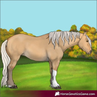 Horse Color:Silver Buckskin Dun Tobiano 