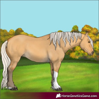 Horse Color:Silver Buckskin Dun Tobiano 