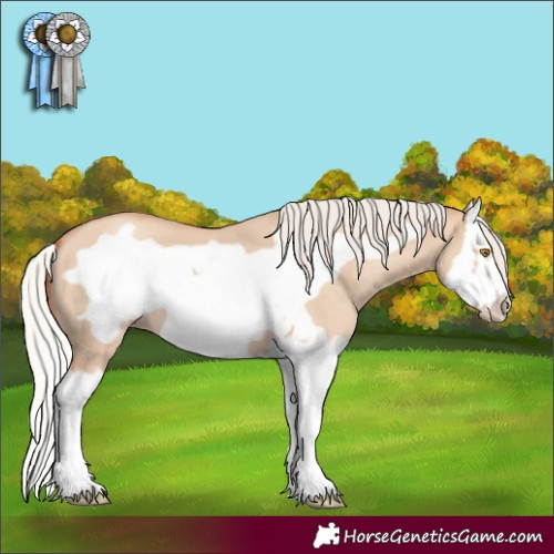 Horse Color:Silver Classic Champagne Dun Splash Frame 