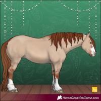 Horse Color:Red Dun 